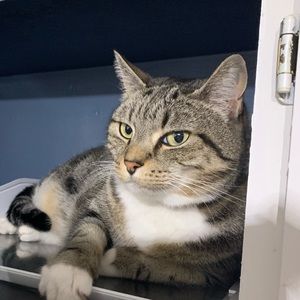 Meet your Posher, Teresa